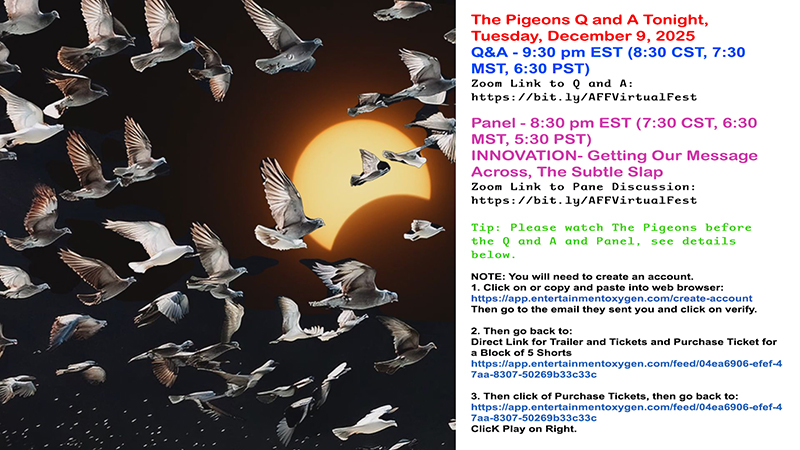 Q and A for Awareness Festival